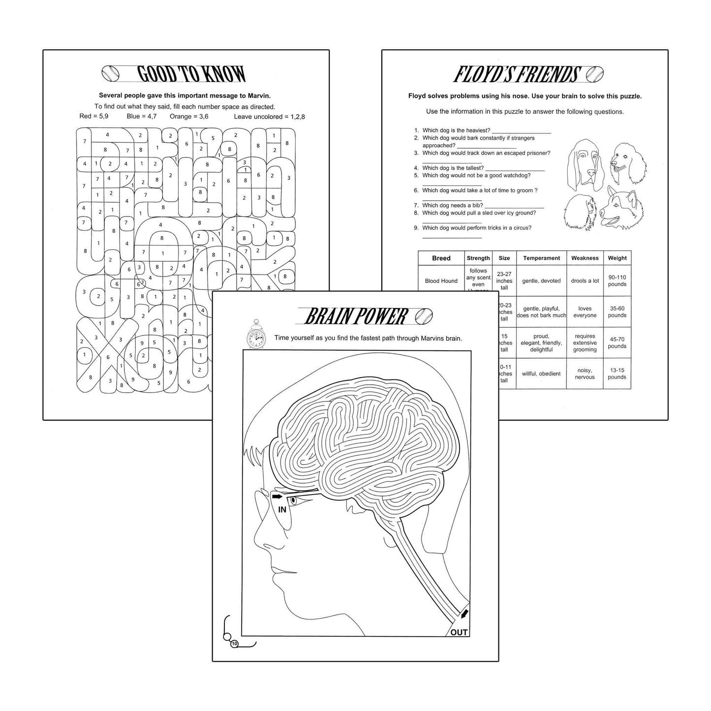 Collection of educational worksheets on a white background from Slow Moe Activity Book
